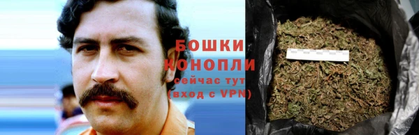 соль ск Верхний Тагил