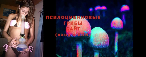 соль ск Верхний Тагил