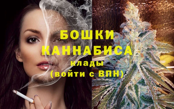 соль ск Верхний Тагил