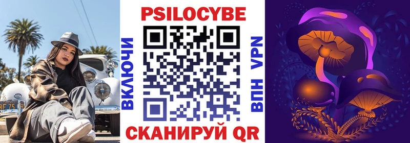 сколько стоит  Верея  Галлюциногенные грибы MAGIC MUSHROOMS 