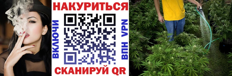 закладки  Верея  Марихуана ГИДРОПОН 